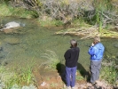 PICTURES/Fossil Springs/t_Arleen & Sharon2.JPG